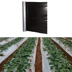 Siddhi 20 micron 400 meter Black and Silver Mulching Sheet | Suitable for Garden and Agriculture Purposes(Size-3.25 feet x 400 meters)